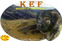KEF (MK)