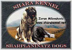 Shara (USA)