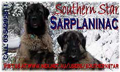 Southern Star Sarplaninac (Au)