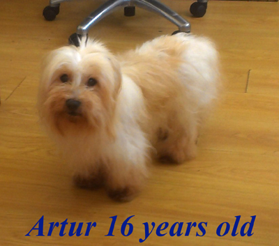 Artur 16 years old