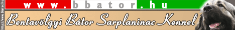 Bentav�lgyi B�tor Sarplaninac Kennel