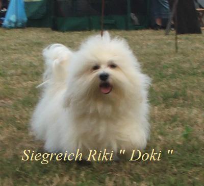 Siegreich Riki "Doki"