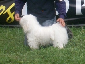 Siegreich Leonard (Zizou)