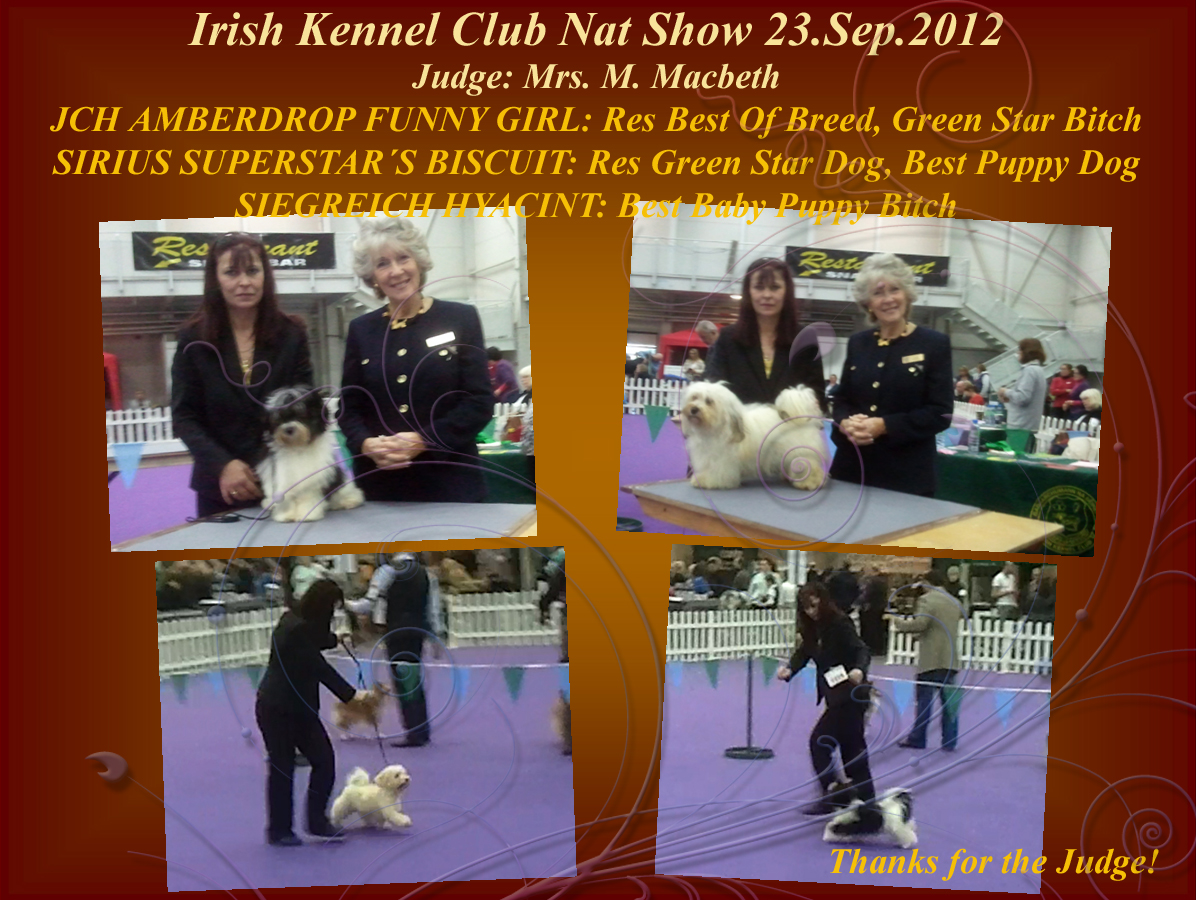 Funny-Biscuit-Hyacint at Nat Show 2012