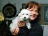 Havanese Gal�ria - Wuslon's Derwisch