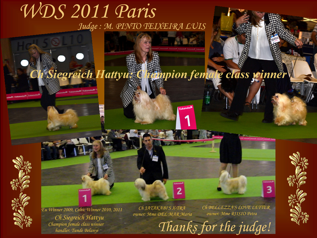 WDS 2011 Paris - Champion class winner female Ch Siegreich Hattyu